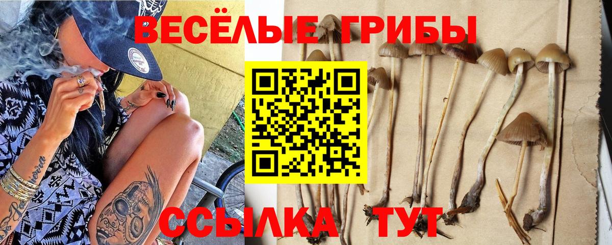 Галлюциногенные грибы Psilocybine cubensis  Галлюциногенные грибы Psilocybe  Вход с VPN  даркнет сайт  Саянск 